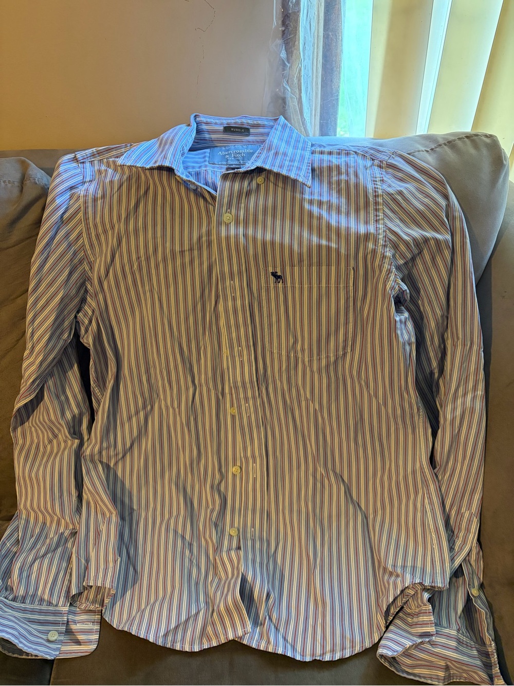 Abercrombie & Fitch Men's Striped Dress Shirt - Blue & Pink